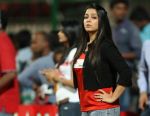 at CCL Grand finale at Bangalore on 10th March 2013(148).jpg